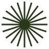 OpenAnus Logo